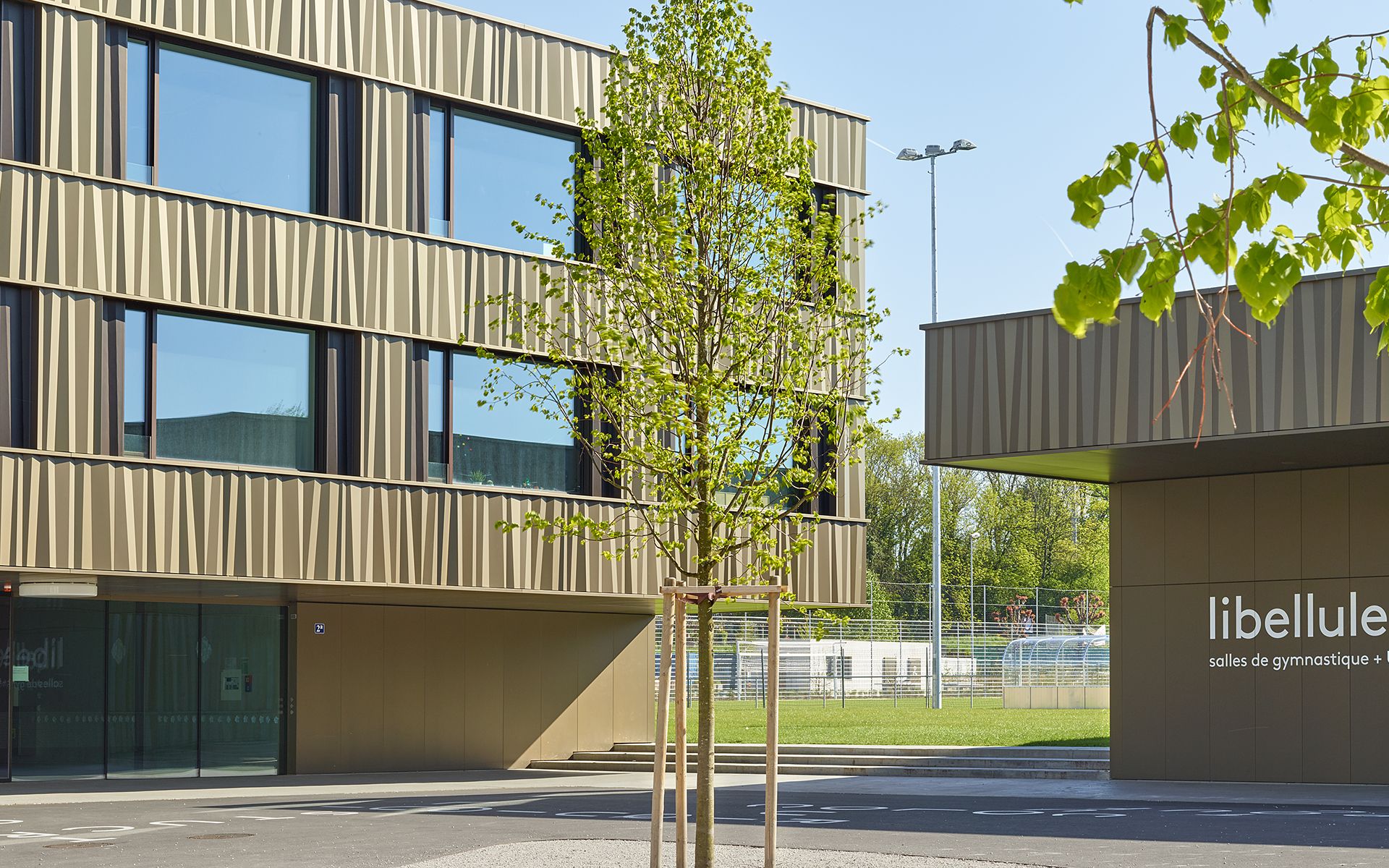 Collège du Censuy (concours) [br]Renens